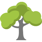 Kissimmee Tree Removal Service